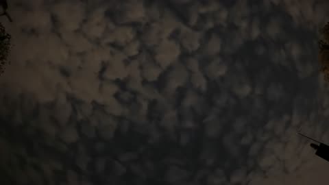 Night Sky Watch - #246 - 24/10/2025 - 4K