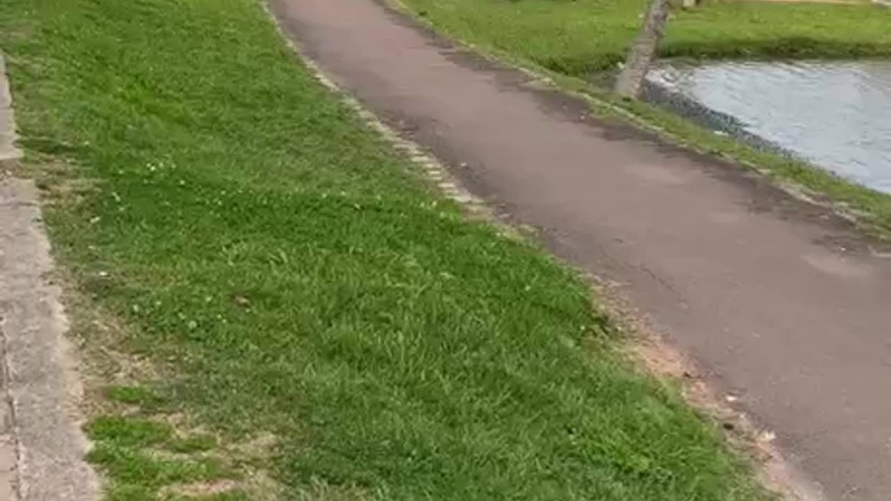 Woman Waves and Crashes Electric Scooter