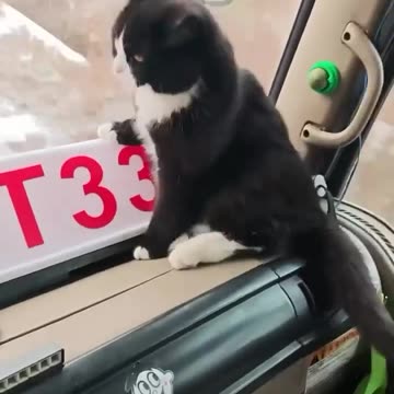 Where did you get your driving license from 🤣