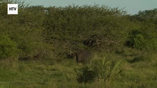 Welcome to SkyLens Planet: Your Window to the World