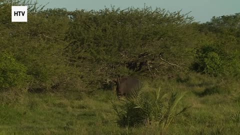 Welcome to SkyLens Planet: Your Window to the World