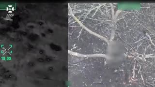 Thanks to the effective work of the border guards of the RUBpAK "Prime" in the North