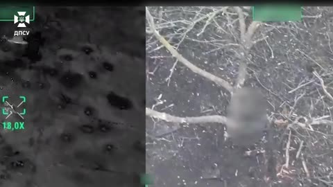 Thanks to the effective work of the border guards of the RUBpAK "Prime" in the North