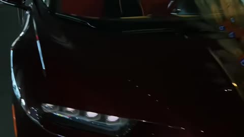 🤩✨ The Most LUXURIOUS Ferrari & Bugatti in Dubai! | LuxurySportsCars