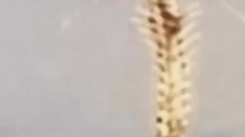 👻🤯 Should Really Follow This Guy on Insta! Amazing Work | TheHauntingHour