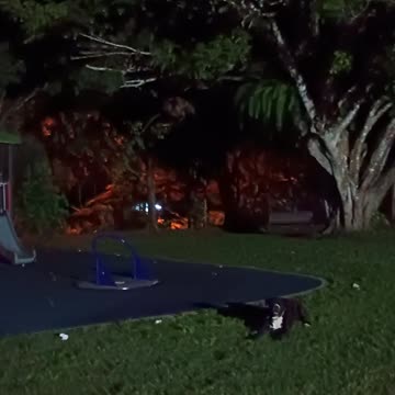 31.12.2024 New Years Eve in Kuranda