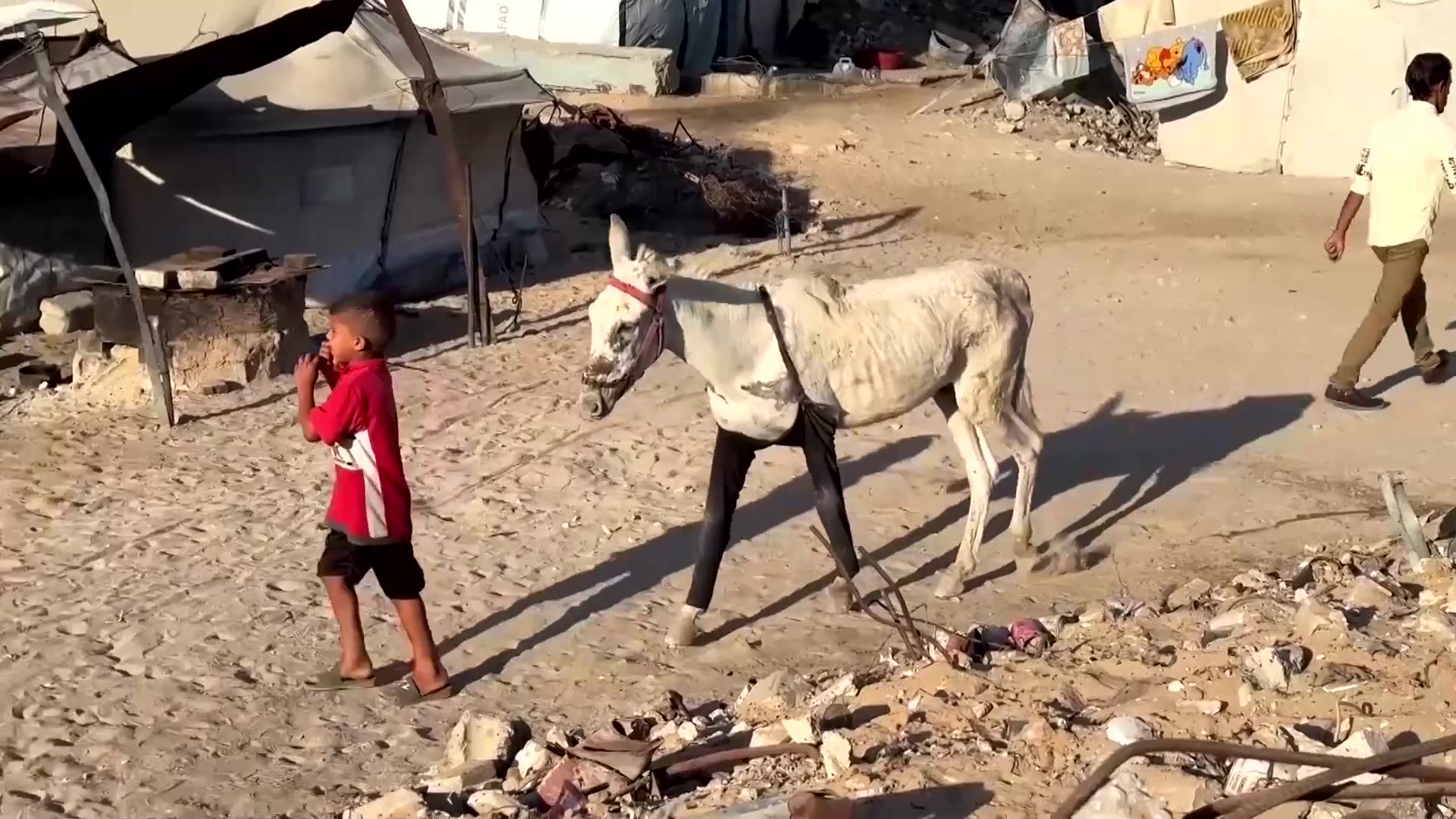 Israel strikes Gaza after asserting commitment to ceasefire