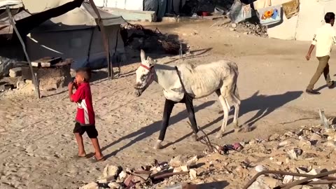 Israel strikes Gaza after asserting commitment to ceasefire