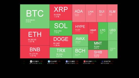 Live Coin Price Watch!