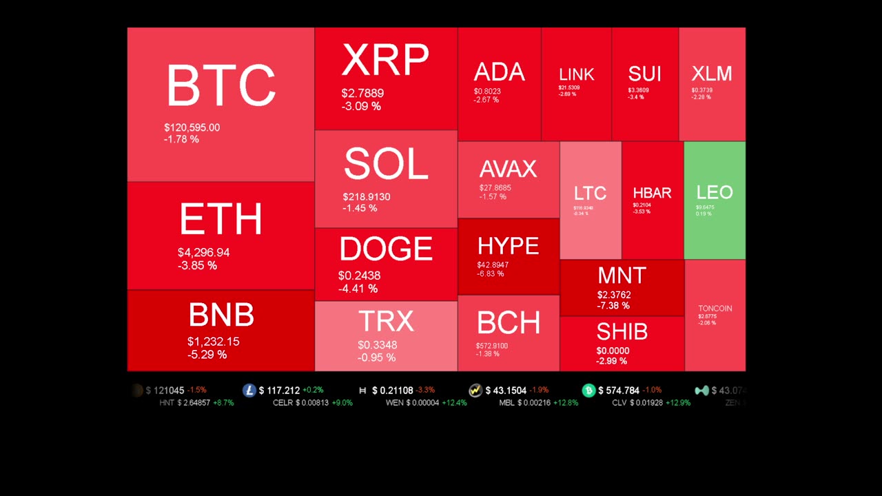 Live Coin Price Watch!