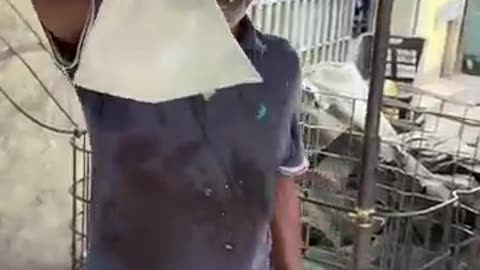 $1 Fresh Coconut Water Masterclass – Insane Street Fruit Cutting Skills!