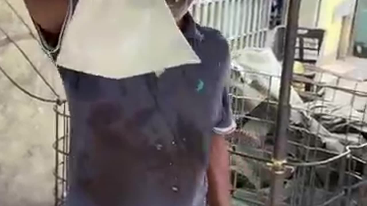 $1 Fresh Coconut Water Masterclass – Insane Street Fruit Cutting Skills!