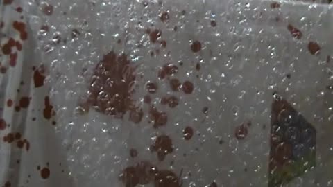 Pop Culture Unboxing Episode 140_ Ferrara Box October (Horror) 2017