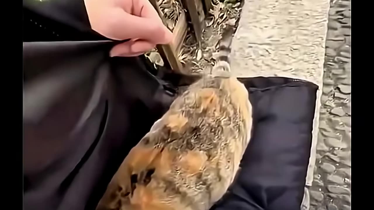 Subscribe for more inspiring content!