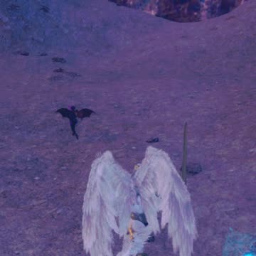 "Aerial Superiority"