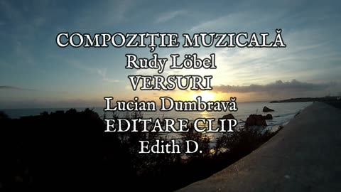 Dănilă Mureșianu - Naufragiu