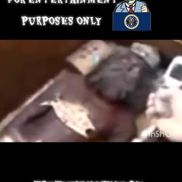 UNEARTHED SLEEP STASIS