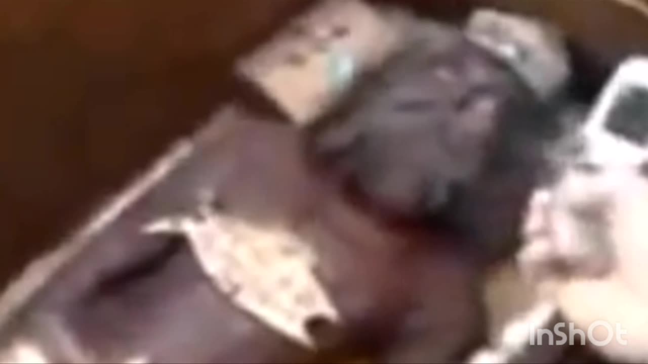 UNEARTHED SLEEP STASIS