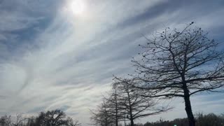 Aluminum Dumping over Alzheimer's Center