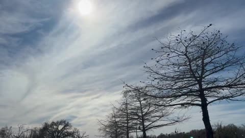 Aluminum Dumping over Alzheimer's Center