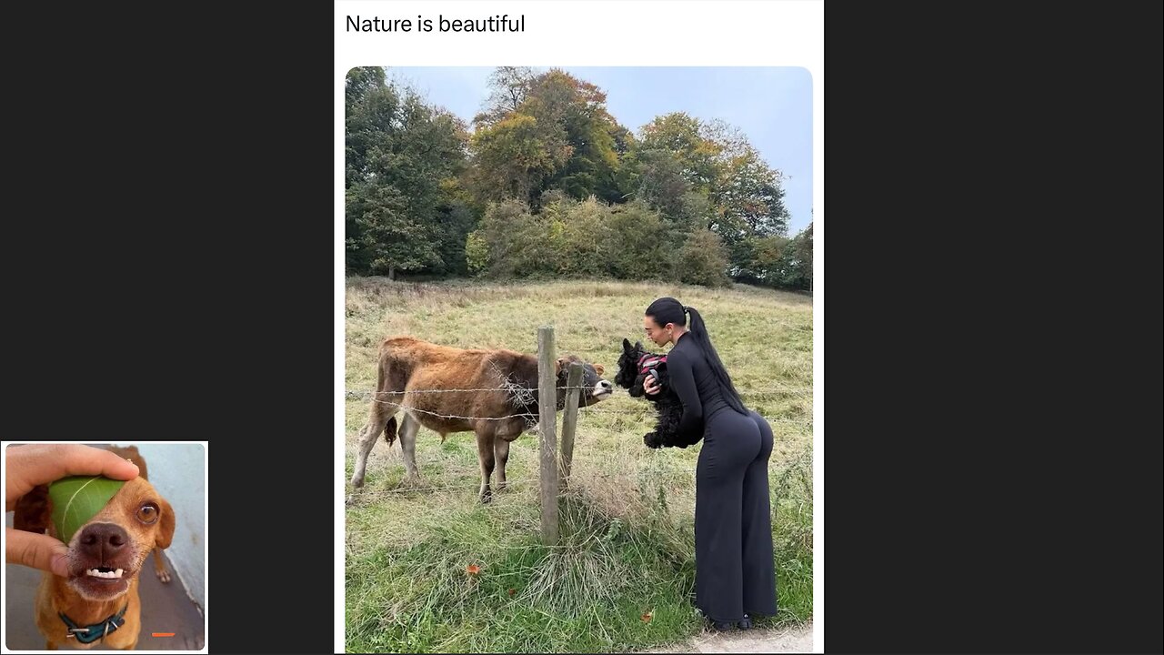 Memes That Will 99.0472% Make You Laugh. (e696)