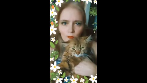 основні поняття