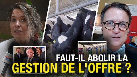 'Cartel' du lait? Plongée au cœur du puissant lobby laitier québécois