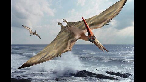 Do Pterosaurs Winged Dinosaurs Exist Today