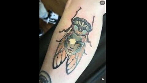 Fascinating.. If you want to SEE what's Behind these Cold EYES You'll have to CLAW Ur Way THROUGH