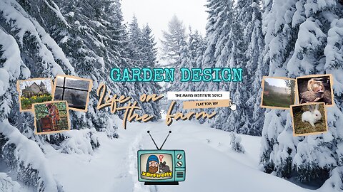 🍂❄️ Holler Radio: IRL Life on the Farm | Late November Edition | Music + Alan Watts