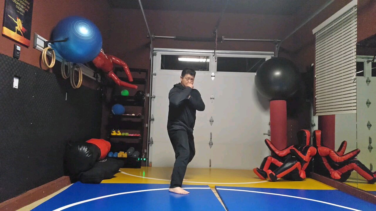 WTD 2 Step Kick Combination 67