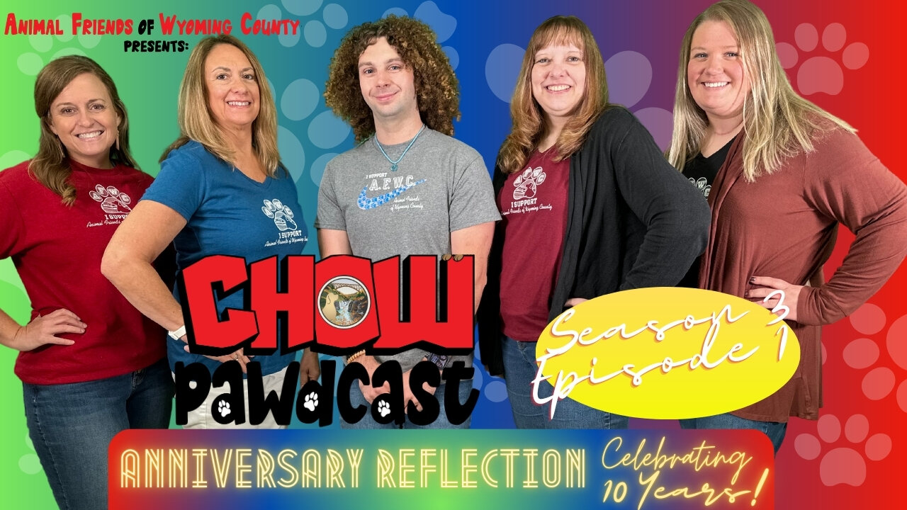 S3 Ep1: Anniversary Reflection - Celebrating 10 Years!
