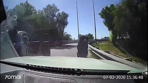 There will be NO Carjacking today.