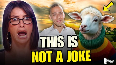 Are Gay SHEEP The Latest Woke Trend in NYC Fashion??