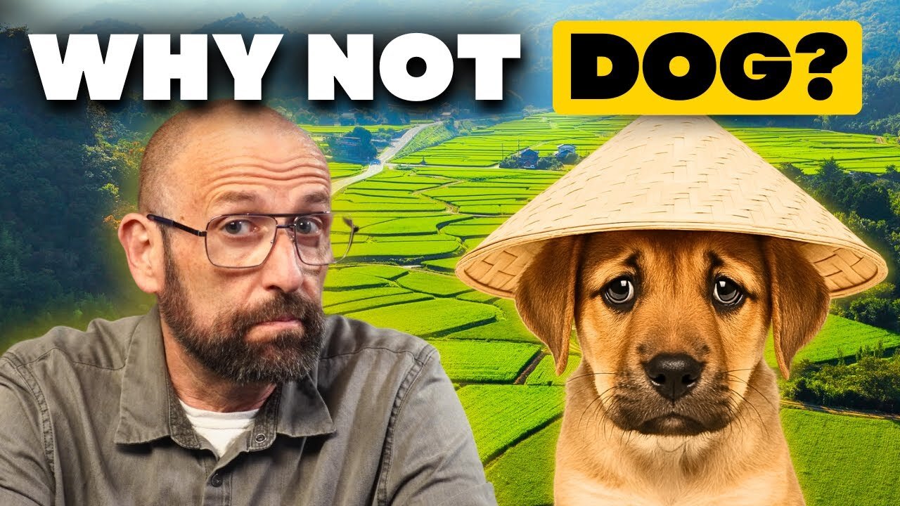 Why do Asians eat dogs? Why don’t you?