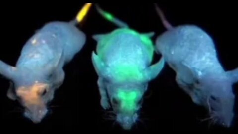 Luc!ferace...Under..The..Skin