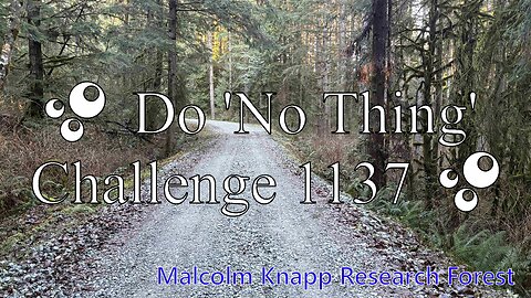 🫧 Do 'No Thing' Challenge 1137 🫧 New Earth Creations #meditationshorts #donothing #mindfulness