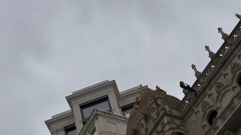 Edificio Barcelona 75