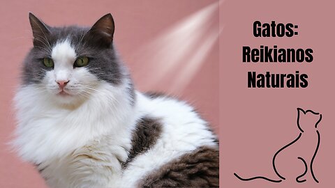 Gatos: Reikianos Naturais