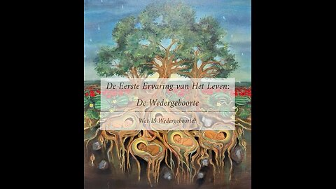 De Eerste Ervaring van Het Leven IS: De Wedergeboorte, Wat IS Dat?