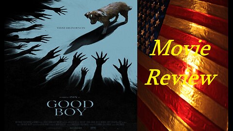 Good Boy (2025 Film) Review - A Very Unique and Interesting Movie Experience!