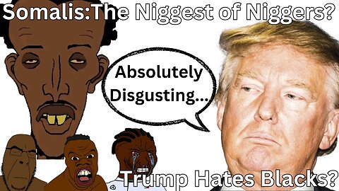 Nig Tier List. Somalis The Worst Nigs. Race Realism Comfy Wednesday Livestream
