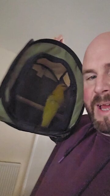 taking the bird for a walk