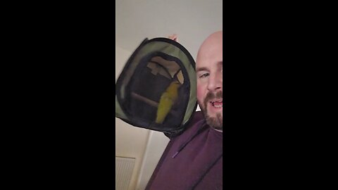 taking the bird for a walk