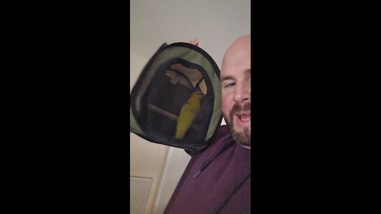 taking the bird for a walk