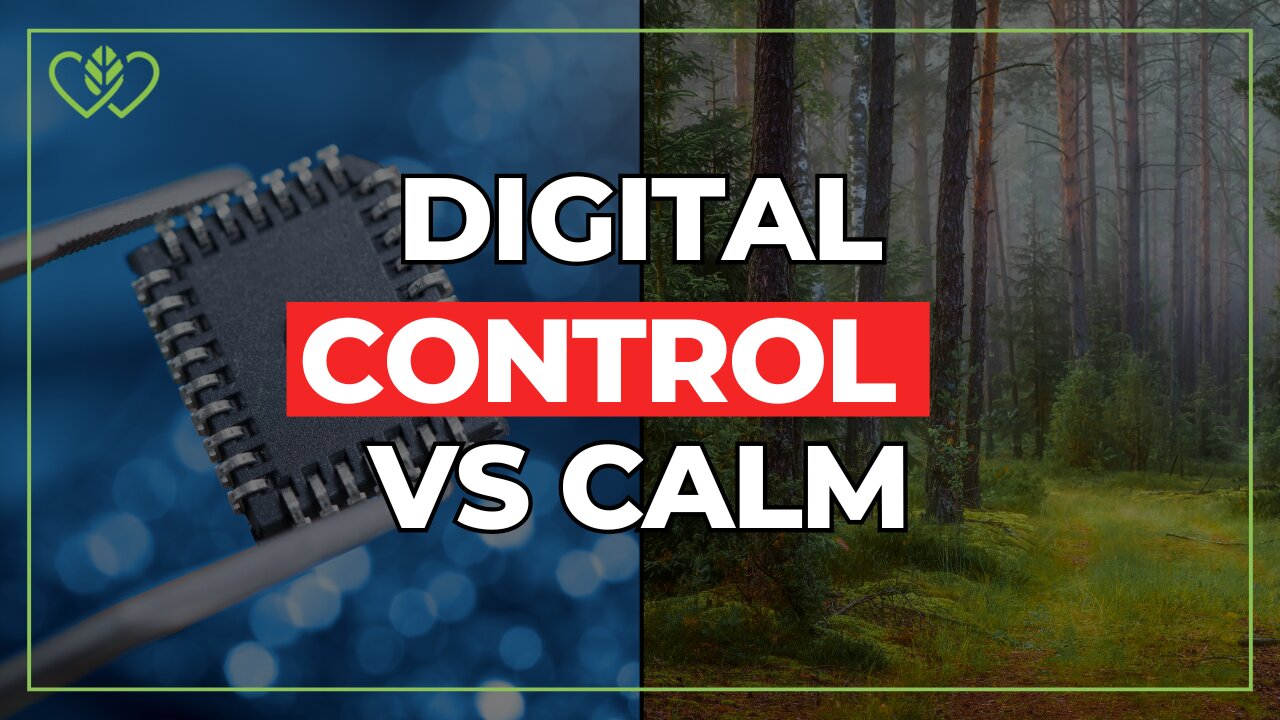 How to Stay Sovereign (and Sane) in the Age of Digital ID + CBDCs | CatherineEdwards.life