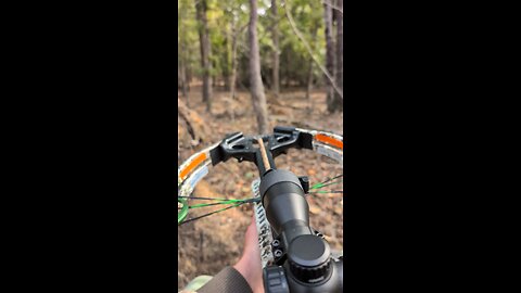 Always great to be out deer hunting!