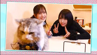 【中字】ANO醬的頻道 250203 - ANO × 本田翼 好友散步 in 吉祥寺(前半戰)