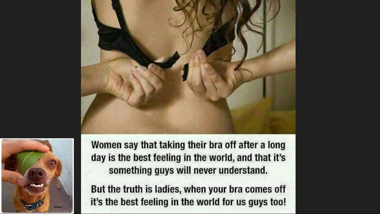 Meme compilation Episodes 546-550.