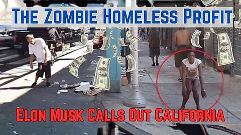 Elon Musk Exposes the 'Homeless Industrial Complex